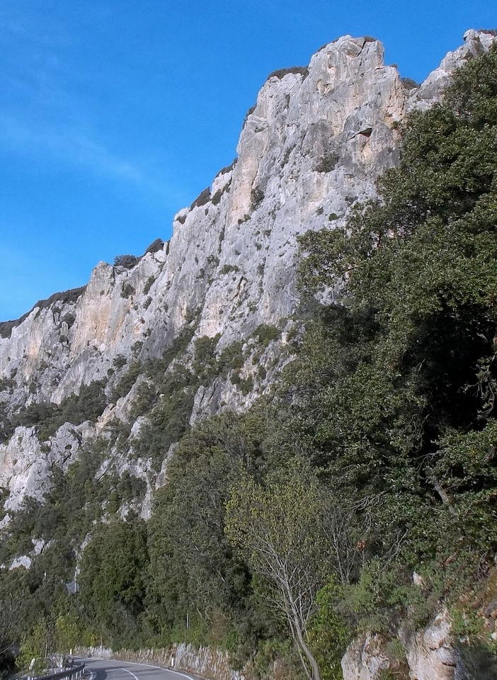 Orchidee in Sardegna, un fine settimana a 78 giri!